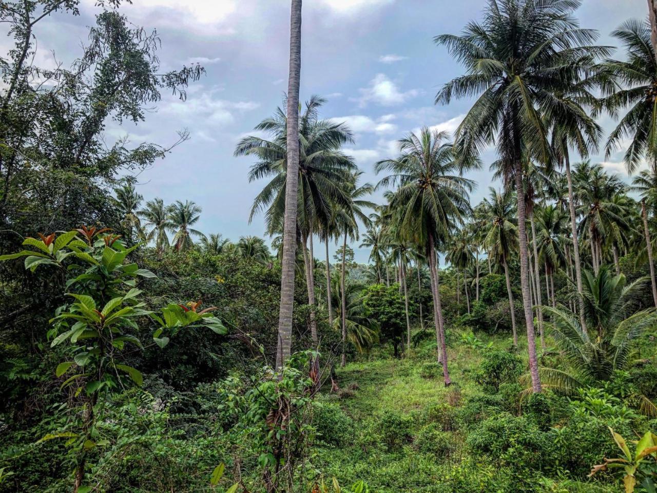 Wanora Resort Maret Bagian luar foto